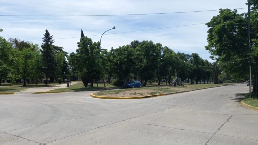 Hay que reponer las palmeras que se sacaron y reimplantar los árboles en las plazas