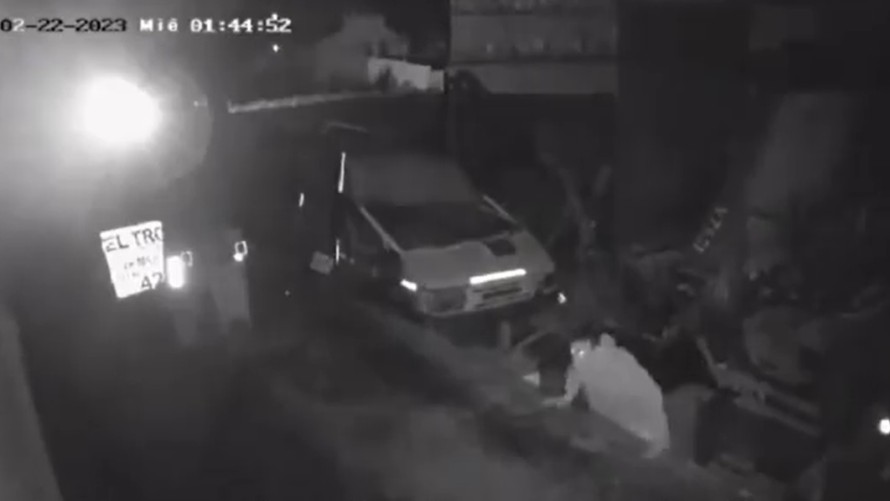 Maleantes asolaron anoche propiedades de la planta urbana