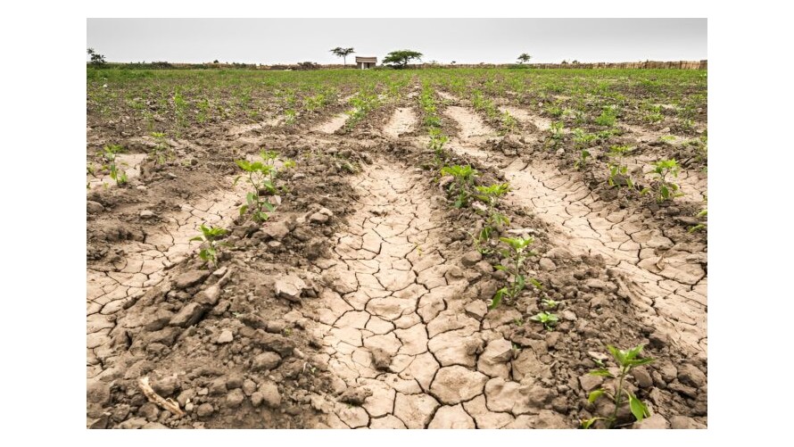 Entidades agropecuarias le reclamaron a Pisano que pida la Emergencia Agropecuaria