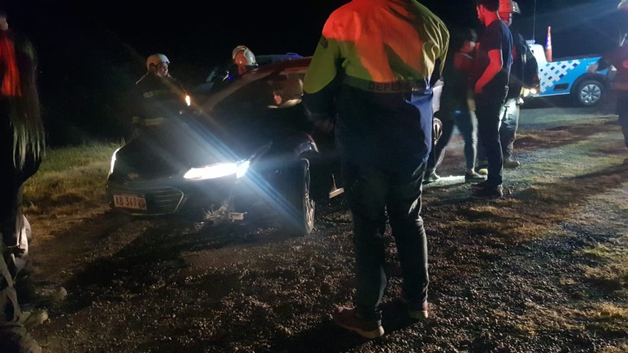 Bolivarenses chocaron contra un animal silvestre en la Ruta 226