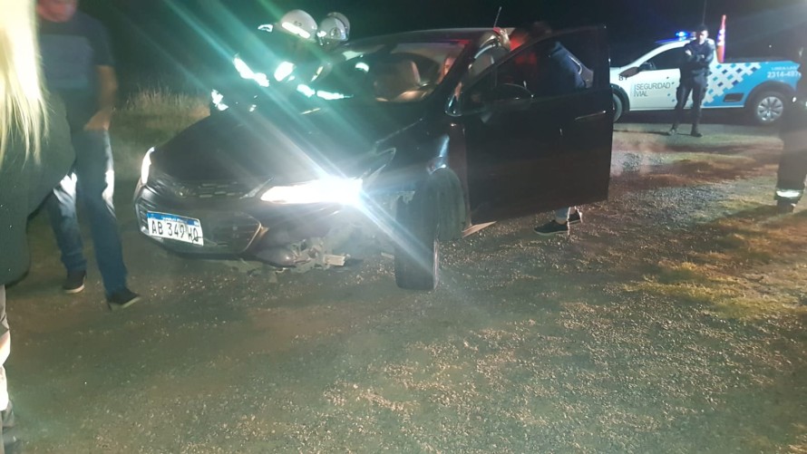 Bolivarenses chocaron contra un animal silvestre en la Ruta 226