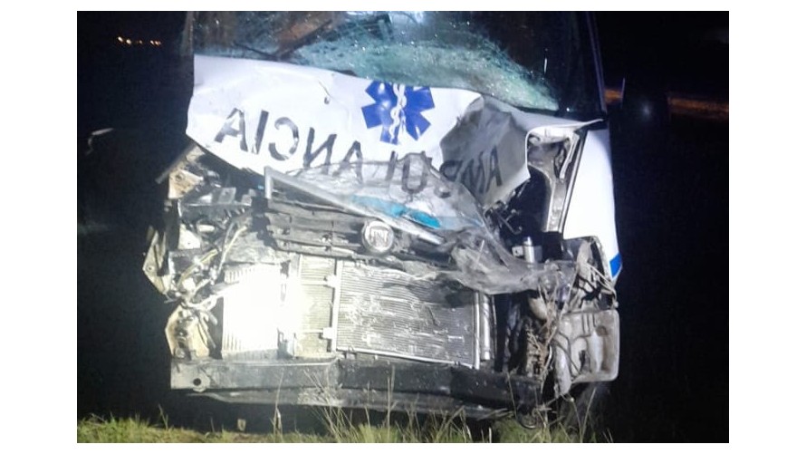 Una ambulancia chocó con un novillo en Ruta Nacional 226