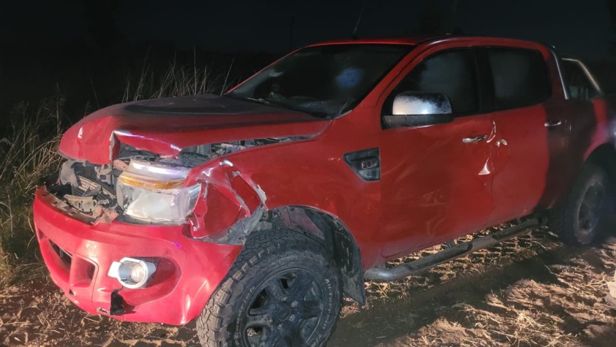 Camioneta impactó a una vaca en un camino rural