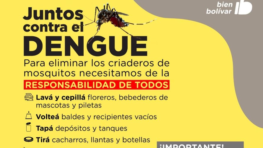 Se impulsa una campaña y tareas para la prevención del dengue