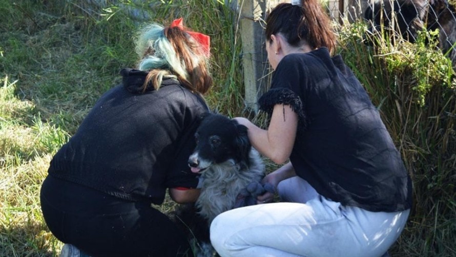 Fue un éxito la jornada solidaria en el refugio