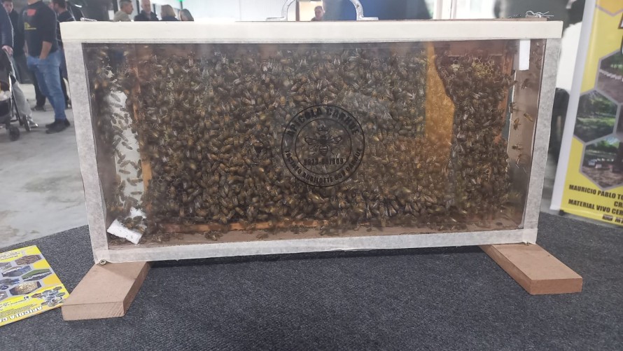 Abrió sus puertas la Feria Apícola de la Sociedad Rural