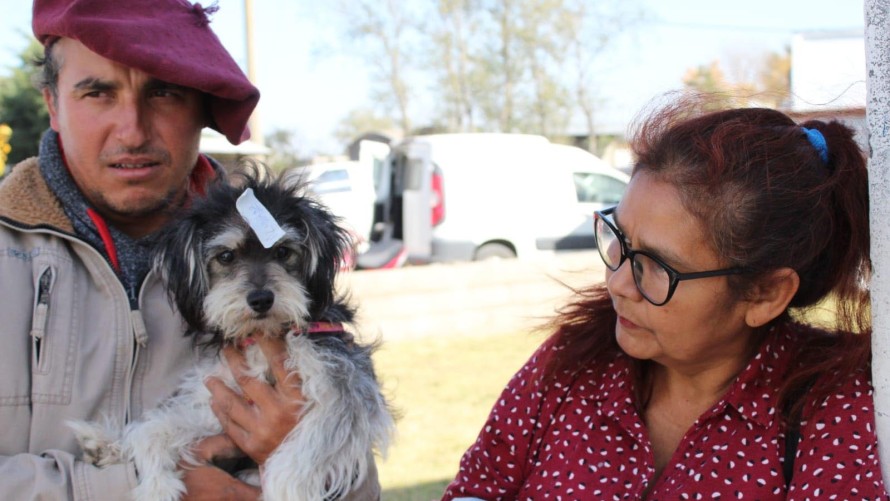 Se realizaron 145 castraciones en una nueva jornada masiva