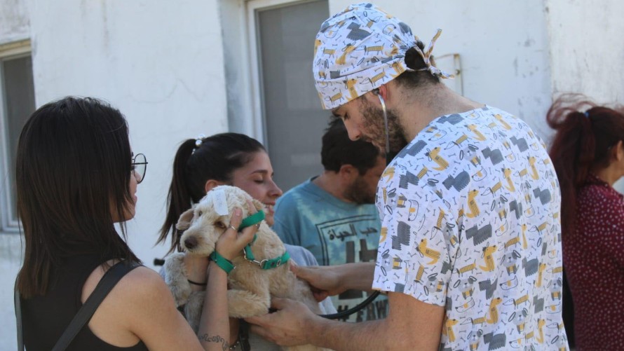 Se realizaron 145 castraciones en una nueva jornada masiva