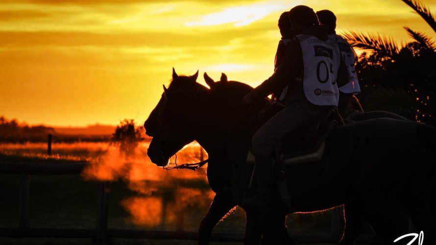 De Bolívar a Uruguay: Marcos Molina representó al país en una prestigiosa marcha de Caballos Criollos