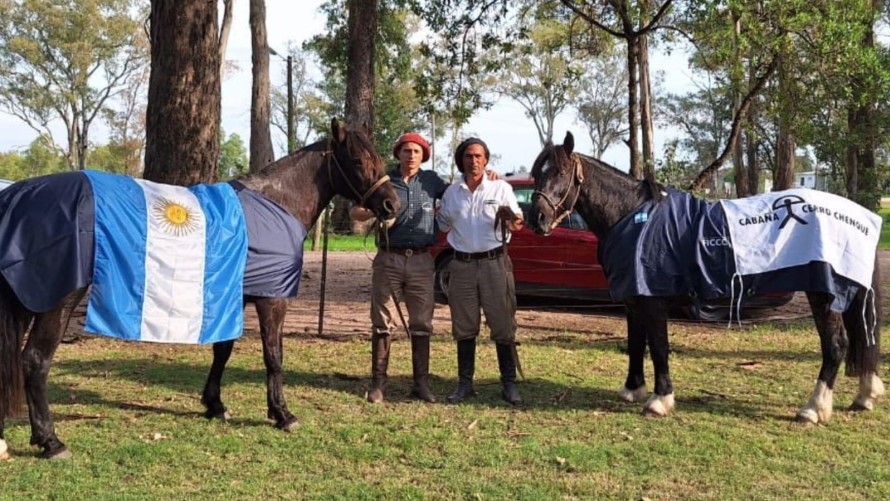De Bolívar a Uruguay: Marcos Molina representó al país en una prestigiosa marcha de Caballos Criollos