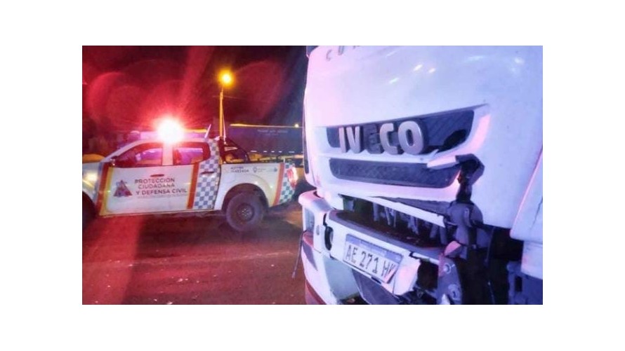 Camionero chocó un caballo en la Ruta 226