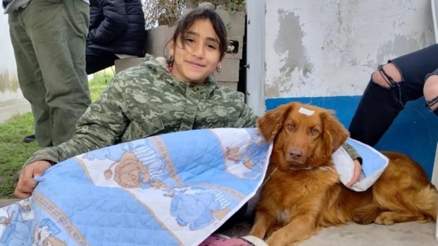 Fue un éxito la jornada de castraciones masivas
