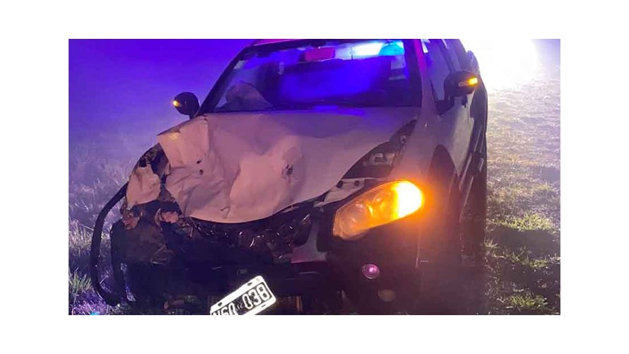 Nuevo accidente en ruta bolivarense por animales sueltos