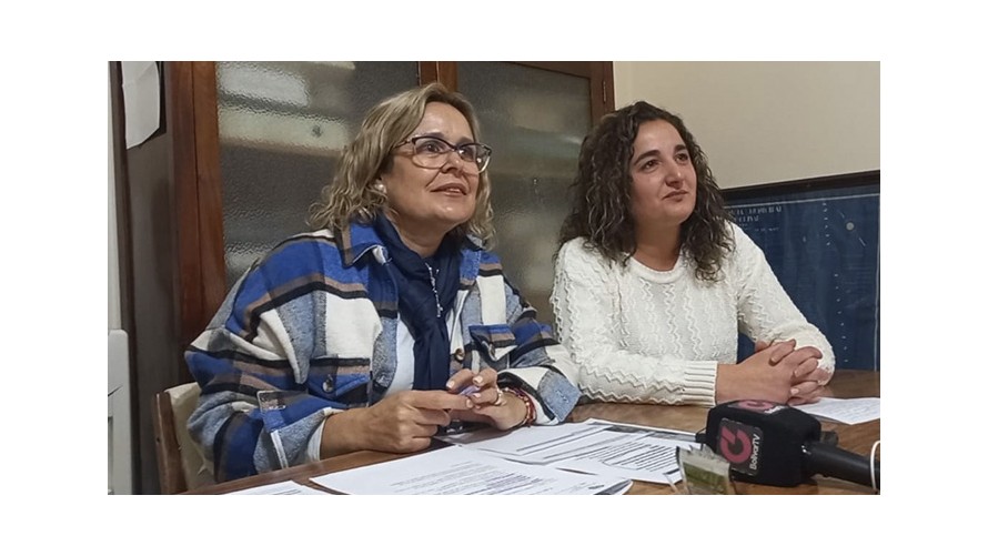 Goyechea y Palomino elevaron un pedido de informes para saber sobre la ambulancia de Hale