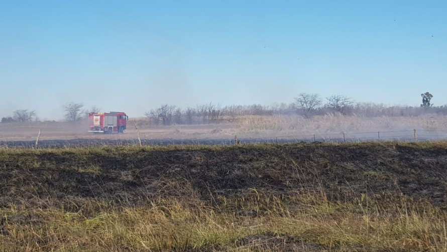 Importante incendio de pastizales en la bajada a Hale