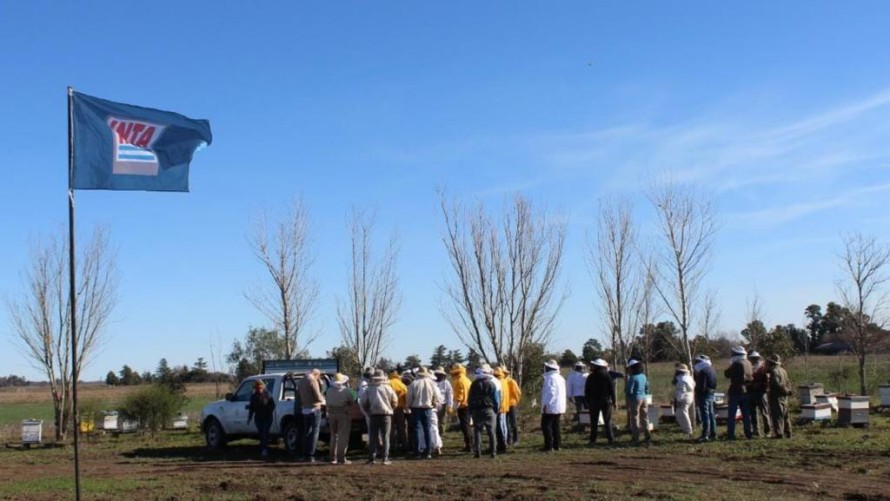 Se desarrolló la jornada técnica apícola en el CRUB y en la granja experimental de INTA