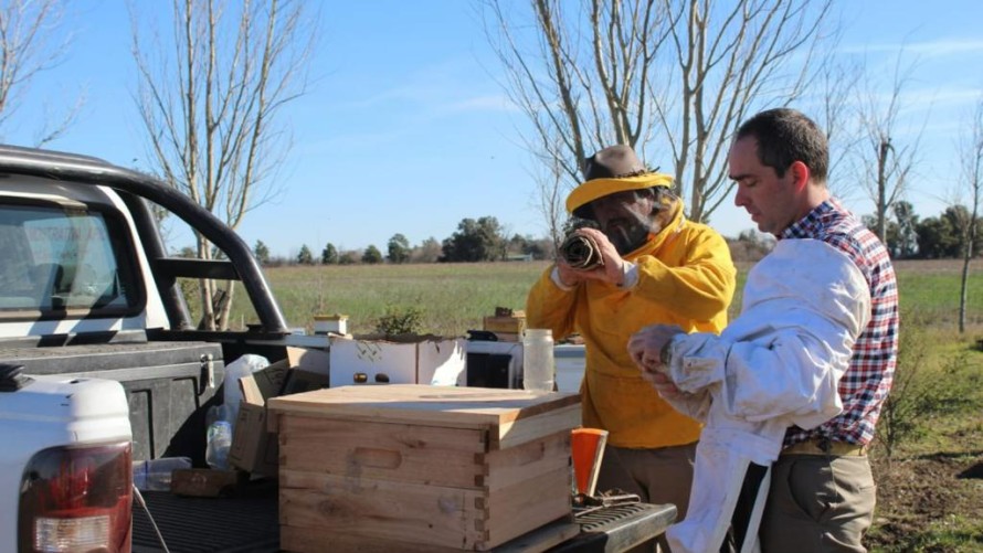 Se desarrolló la jornada técnica apícola en el CRUB y en la granja experimental de INTA