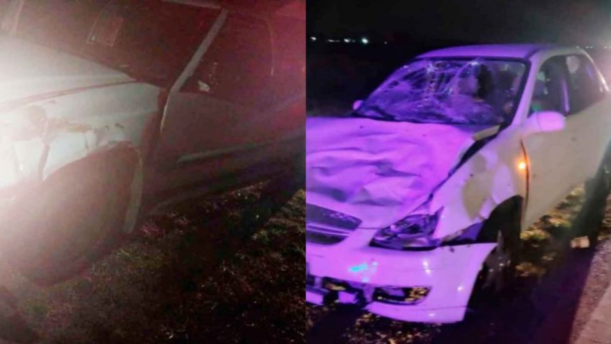 Dos accidentes por animales sueltos en cercanías a la rotonda de ingreso a Bolívar