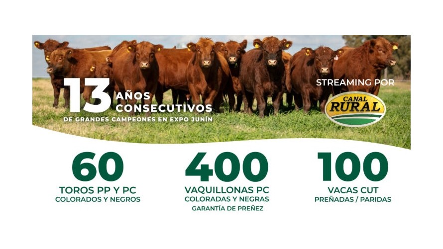 El 10mo. remate de Cabaña Nirihuau contara con la disertación de Víctor Tonelli