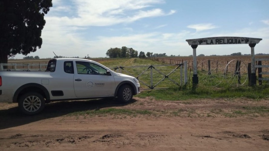 El 10 de octubre comienza la segunda campaña de vacunación antiaftosa