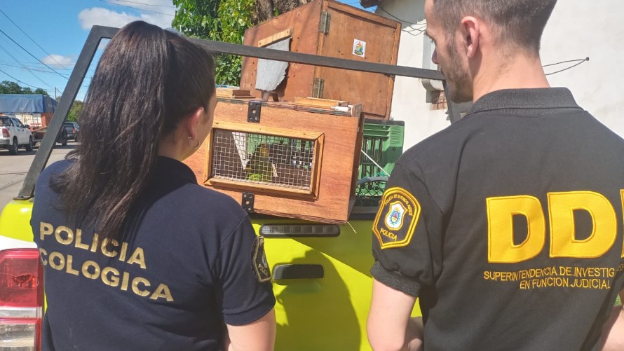 Allanaron una vivienda y rescataron animales que se encontraban en situación de maltrato