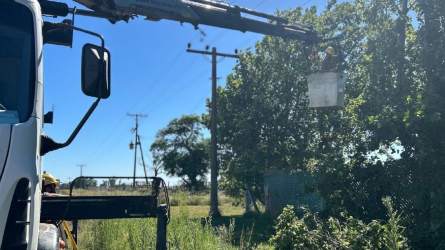 La Cooperativa Eléctrica realizó trabajos de mantenimiento en la línea de Ibarra