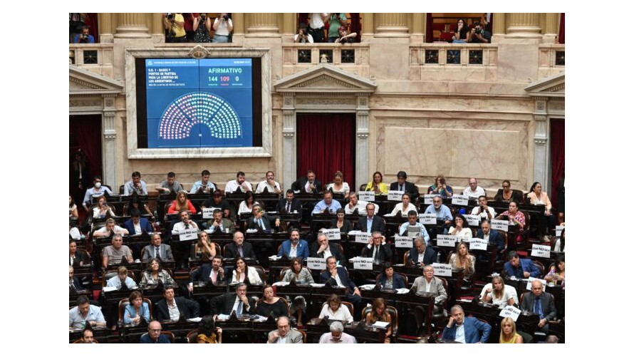 Panorama político: La Ley Bases, con impacto bonaerense