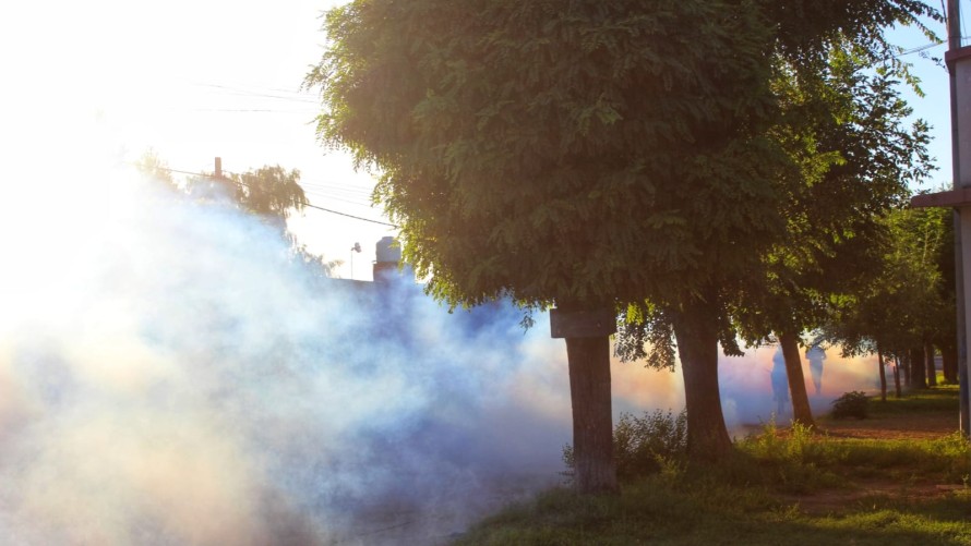 Realizan tareas de pulverización terrestre para eliminar mosquitos