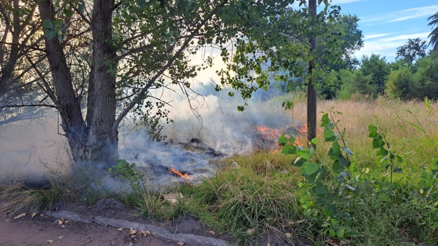 Por el calor se generó un incendio forestal en el Barrio Iborra