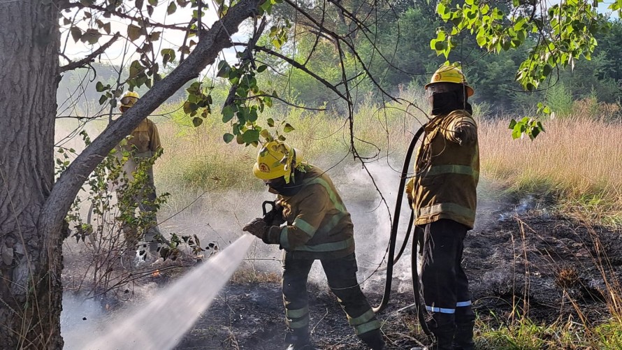 Por el calor se generó un incendio forestal en el Barrio Iborra