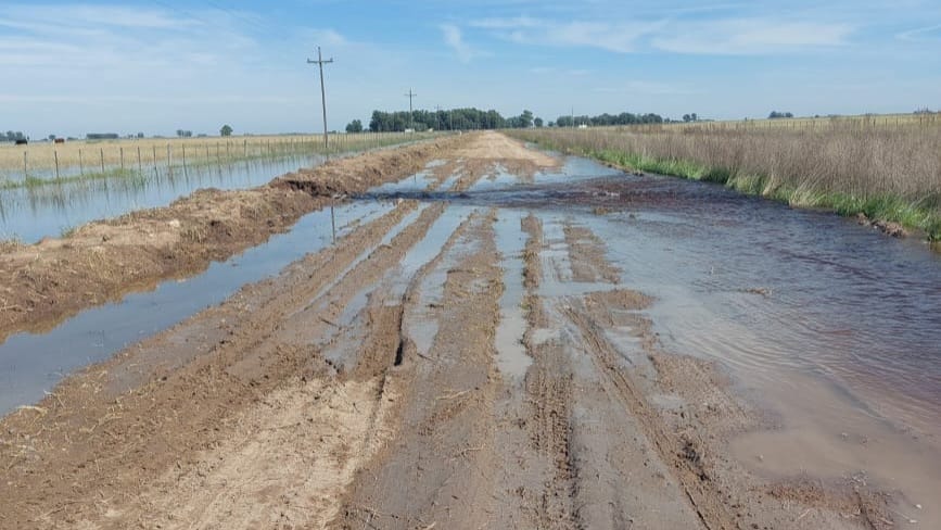 “Tienen que comprar una máquina para limpiar los tubos, las bocas de tormenta se tapan por falta de mantenimiento”