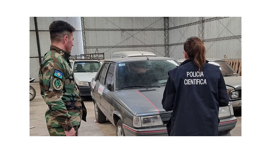 Allanaron un domicilio por abigeato y encontraron plantas de marihuana