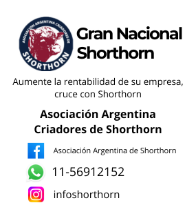 Shorthorn