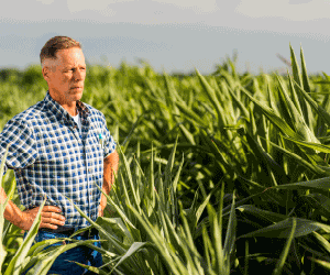 Cooperativa Agropecuaria