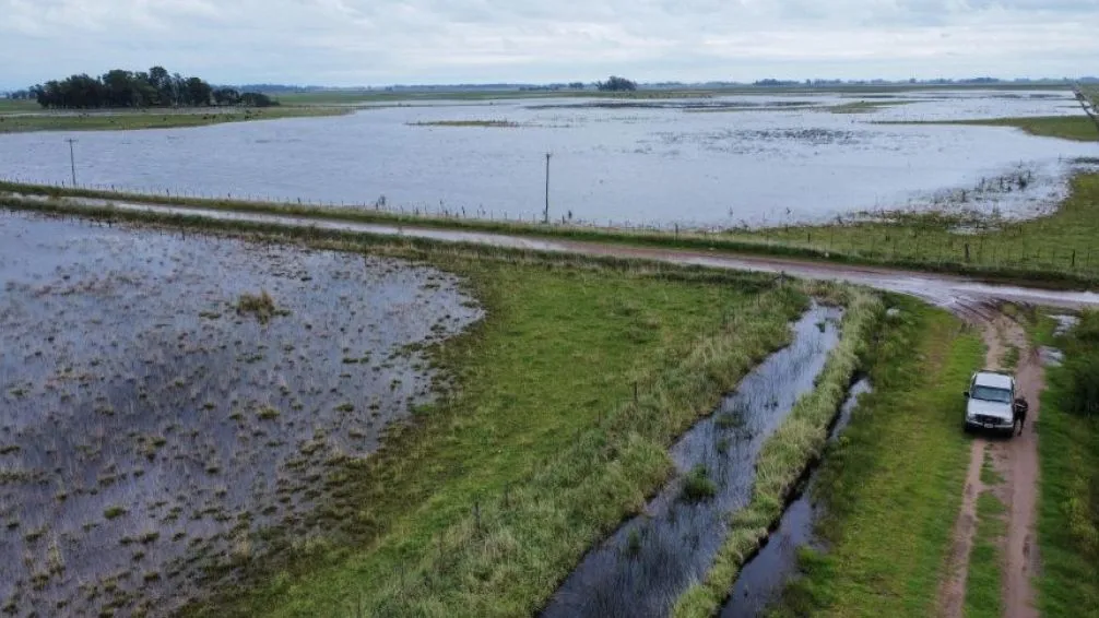 Habilitaron la carga online para gestionar la Emergencia Agropecuaria