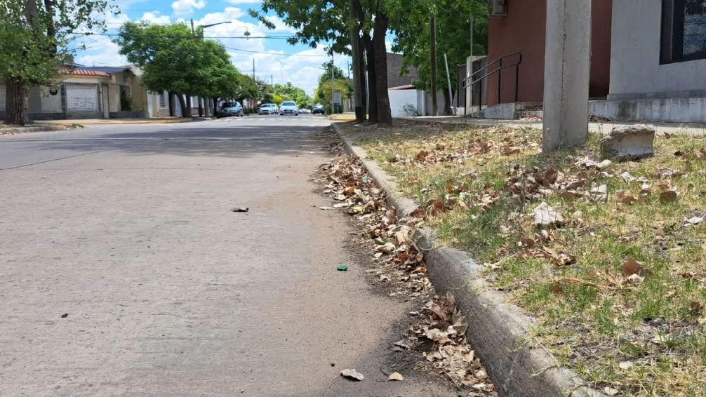 Día del Recolector de Residuos: miércoles sin servicio en la ciudad 