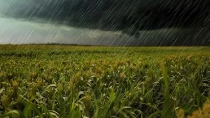 Llegó el agua: cuánto llovió en Bolívar y la zona 