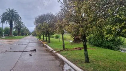 Llegan tormentas a Bolívar y en Paula despliegan operativo de emergencia